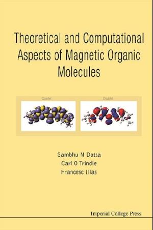 Theoretical And Computational Aspects Of Magnetic Organic Molecules