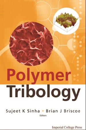 Polymer Tribology