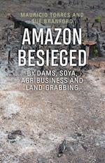 Amazon Besieged