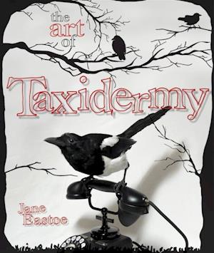 Art of Taxidermy