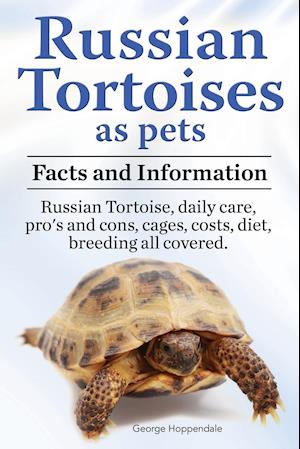 Russian Tortoises as Pets. Russian Tortoise