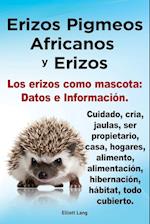 Erizos Pigmeos Africanos y Erizos. Los Erizos Como Mascota