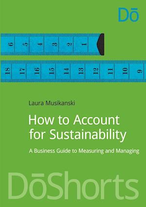 How to Account for Sustainability