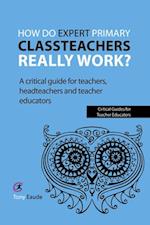 How do expert primary classteachers really work?