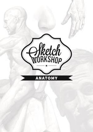 Sketch Workshop: Anatomy