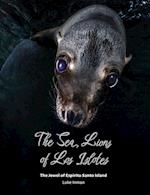The Sea Lions of Los Islotes