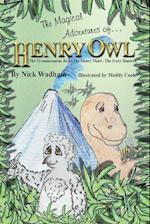 The Magical Adventures of Henry Owl