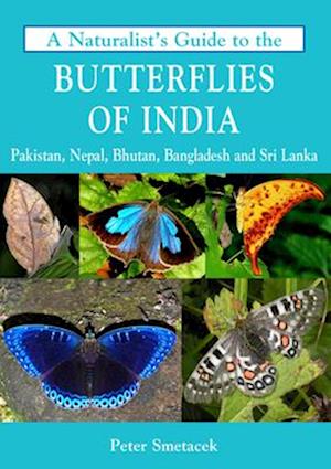 Naturalist's Guide to the Butterflies of India