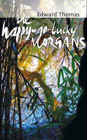 Happy-Go-Lucky Morgans