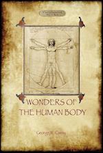 The Wonders of the Human Body