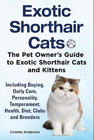 Exotic Shorthair Cats The Pet Owner's Guide to Exotic Shorthair Cats and Kittens  Including Buying, Daily Care, Personality, Temperament, Health, Diet, Clubs and Breeders