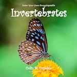 Draw Your Own Encyclopaedia Invertebrates