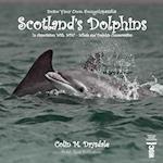 Draw Your Own Encyclopaedia Scotland's Dolphins