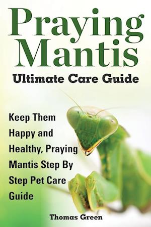 Praying Mantis Ultimate Care Guide