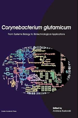 Corynebacterium Glutamicum