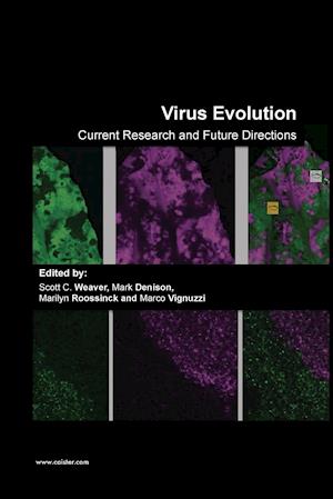 Virus Evolution