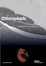 Chloroplasts