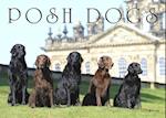 Posh Dogs