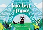 Binx Lost in France