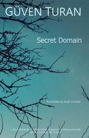 The Secret Domain