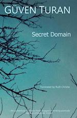 The Secret Domain 