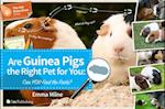 Are Guinea Pigs the Right Pet for You: Can You Find the Facts?