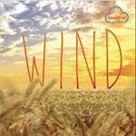 Weather Explorers: Wind
