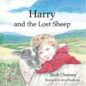 Harry and the Lost Sheep
