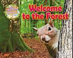 Welcome to the Forest