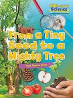 Fundamental Science Key Stage 1: From a Tiny Seed to a Mighty Tree: How Plants Grow