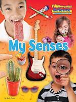 Fundamental Science Key Stage 1: My Senses