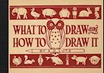 What to Draw and How to Draw It