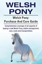 Welsh Pony. Welsh Pony