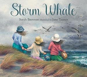 Storm Whale