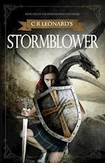 Stormblower