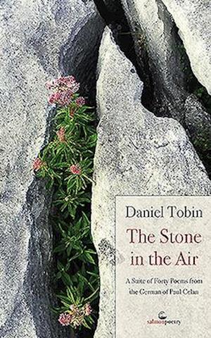 The Stone in the Air