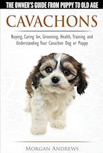 Cavachons - The Owner's Guide from Puppy to Old Age - Choosing, Caring for, Grooming, Health, Training and Understanding Your Cavachon Dog  or Puppy