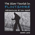 The Slow Tourist in Flintshir