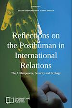 Reflections on the Posthuman in International Relations