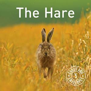 Hare Notepack, The