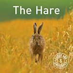 Hare Notepack, The