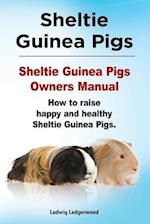 Sheltie Guinea Pigs. Sheltie Guinea Pigs Owners Manual. How to Raise Happy and Healthy Sheltie Guinea Pigs.