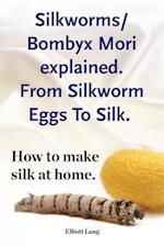 Silkworms Bombyx Mori Explained. from Silkworm Eggs to Silk. How to Make Silk at Home.