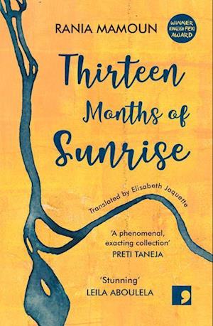 Thirteen Months of Sunrise