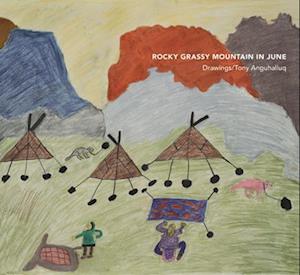 Rocky Grassy Mountain in June