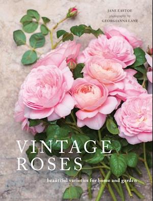 Vintage Roses