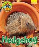 Wildlife Watchers: Hedgehog