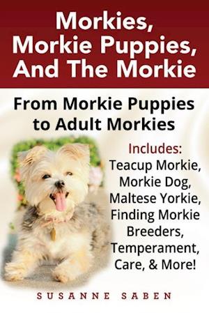 Morkies, Morkie Puppies, And the Morkie