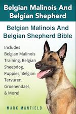 Belgian Malinois and Belgian Shepherd