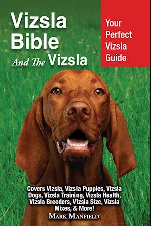 Vizsla Bible and the Vizsla